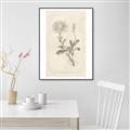 Picture of Flower Sketch III _GroupedProduct_Rectangle_Portrait_Canvas_Framed_
