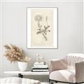 Picture of Flower Sketch III _GroupedProduct_Rectangle_Portrait_Canvas_Framed_