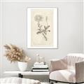Picture of Flower Sketch III _GroupedProduct_Rectangle_Portrait_Canvas_Framed_