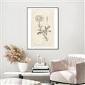 Picture of Flower Sketch III _GroupedProduct_Rectangle_Portrait_Canvas_Framed_