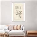 Picture of Flower Sketch III _GroupedProduct_Rectangle_Portrait_Canvas_Framed_
