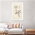 Picture of Flower Sketch III _GroupedProduct_Rectangle_Portrait_Canvas_Framed_