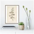 Picture of Flower Sketch IV _GroupedProduct_Rectangle_Portrait_Canvas_Framed_