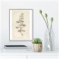 Picture of Flower Sketch IV _GroupedProduct_Rectangle_Portrait_Canvas_Framed_