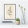 Picture of Flower Sketch IV _GroupedProduct_Rectangle_Portrait_Canvas_Framed_