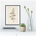 Picture of Flower Sketch IV _GroupedProduct_Rectangle_Portrait_Canvas_Framed_