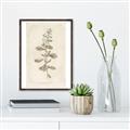 Picture of Flower Sketch IV _GroupedProduct_Rectangle_Portrait_Canvas_Framed_