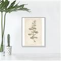 Picture of Flower Sketch IV _GroupedProduct_Rectangle_Portrait_Canvas_Framed_