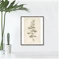 Picture of Flower Sketch IV _GroupedProduct_Rectangle_Portrait_Canvas_Framed_