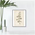 Picture of Flower Sketch IV _GroupedProduct_Rectangle_Portrait_Canvas_Framed_