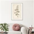 Picture of Flower Sketch IV _GroupedProduct_Rectangle_Portrait_Canvas_Framed_