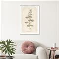 Picture of Flower Sketch IV _GroupedProduct_Rectangle_Portrait_Canvas_Framed_