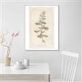 Picture of Flower Sketch IV _GroupedProduct_Rectangle_Portrait_Canvas_Framed_