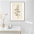 Picture of Flower Sketch IV _GroupedProduct_Rectangle_Portrait_Canvas_Framed_