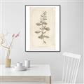 Picture of Flower Sketch IV _GroupedProduct_Rectangle_Portrait_Canvas_Framed_