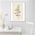 Picture of Flower Sketch IV _GroupedProduct_Rectangle_Portrait_Canvas_Framed_