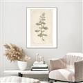Picture of Flower Sketch IV _GroupedProduct_Rectangle_Portrait_Canvas_Framed_