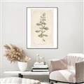 Picture of Flower Sketch IV _GroupedProduct_Rectangle_Portrait_Canvas_Framed_