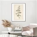 Picture of Flower Sketch IV _GroupedProduct_Rectangle_Portrait_Canvas_Framed_