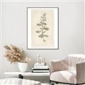 Picture of Flower Sketch IV _GroupedProduct_Rectangle_Portrait_Canvas_Framed_
