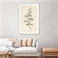 Picture of Flower Sketch IV _GroupedProduct_Rectangle_Portrait_Canvas_Framed_