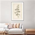 Picture of Flower Sketch IV _GroupedProduct_Rectangle_Portrait_Canvas_Framed_