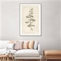 Picture of Flower Sketch IV _GroupedProduct_Rectangle_Portrait_Canvas_Framed_