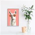 Picture of Llamarama  with glass _GroupedProduct_Rectangle_Portrait_Canvas_Framed_