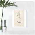 Picture of Flower Sketch II _GroupedProduct_Rectangle_Portrait_Unframed_Print_Only_