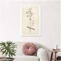 Picture of Flower Sketch II _GroupedProduct_Rectangle_Portrait_Unframed_Print_Only_