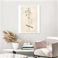 Picture of Flower Sketch II _GroupedProduct_Rectangle_Portrait_Unframed_Print_Only_