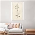 Picture of Flower Sketch II _GroupedProduct_Rectangle_Portrait_Unframed_Print_Only_