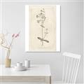 Picture of Flower Sketch II _GroupedProduct_Rectangle_Portrait_Unframed_Print_Only_