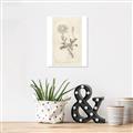 Picture of Flower Sketch III _GroupedProduct_Rectangle_Portrait_Unframed_Print_Only_