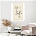 Picture of Flower Sketch III _GroupedProduct_Rectangle_Portrait_Unframed_Print_Only_