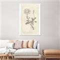Picture of Flower Sketch III _GroupedProduct_Rectangle_Portrait_Unframed_Print_Only_