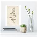 Picture of Flower Sketch IV _GroupedProduct_Rectangle_Portrait_Unframed_Print_Only_