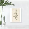 Picture of Flower Sketch IV _GroupedProduct_Rectangle_Portrait_Unframed_Print_Only_
