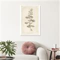 Picture of Flower Sketch IV _GroupedProduct_Rectangle_Portrait_Unframed_Print_Only_
