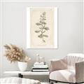 Picture of Flower Sketch IV _GroupedProduct_Rectangle_Portrait_Unframed_Print_Only_