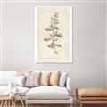 Picture of Flower Sketch IV _GroupedProduct_Rectangle_Portrait_Unframed_Print_Only_