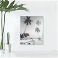 Picture of Palms & Cool Car _GroupedProduct_Rectangle_Portrait_Photography _GroupedProduct_Rectangle_Portrait_Unframed_Print_Only_