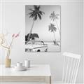 Picture of Palms & Cool Car _GroupedProduct_Rectangle_Portrait_Photography _GroupedProduct_Rectangle_Portrait_Unframed_Print_Only_