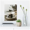 Picture of Panda Sitting on Sofa _GroupedProduct_Rectangle_Portrait_Unframed_Print_Only_