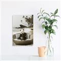 Picture of Panda Sitting on Sofa _GroupedProduct_Rectangle_Portrait_Unframed_Print_Only_