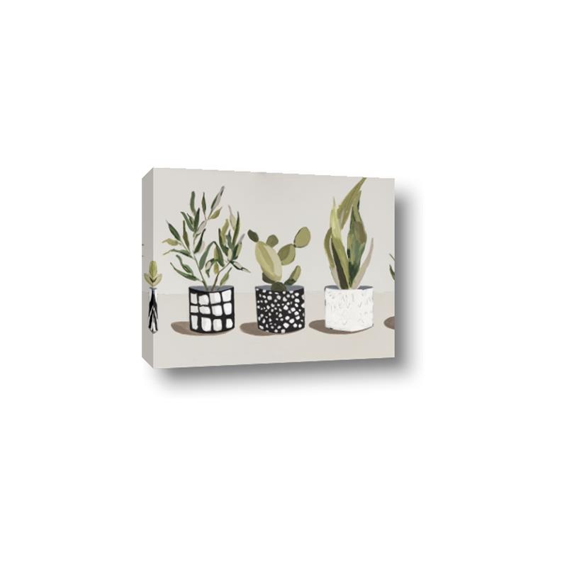 Picture of Plants and Flowers _GroupedProduct_Rectangle_Landscape_Canvas_