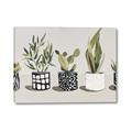 Picture of Plants and Flowers _GroupedProduct_Rectangle_Landscape_Canvas_