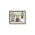 Picture of Plants and Flowers _GroupedProduct_Rectangle_Landscape_Canvas_Framed_
