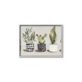 Picture of Plants and Flowers _GroupedProduct_Rectangle_Landscape_Canvas_Framed_