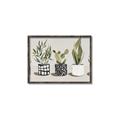 Picture of Plants and Flowers _GroupedProduct_Rectangle_Landscape_Canvas_Framed_